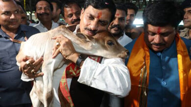 हमारी देशी गौ-माता हैं सर्वश्रेष्ठ : मुख्यमंत्री डॉ. यादव