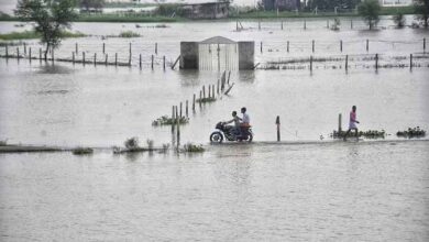 लखनऊ से सटे बख्शी का तालाब इलाके में रौद्र रूप में दिख रही गोमती