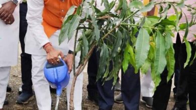 मुख्यमंत्री डॉ. यादव ने यवतमाल के दीनदयाल प्रबोधिनी में रोपा पौधा