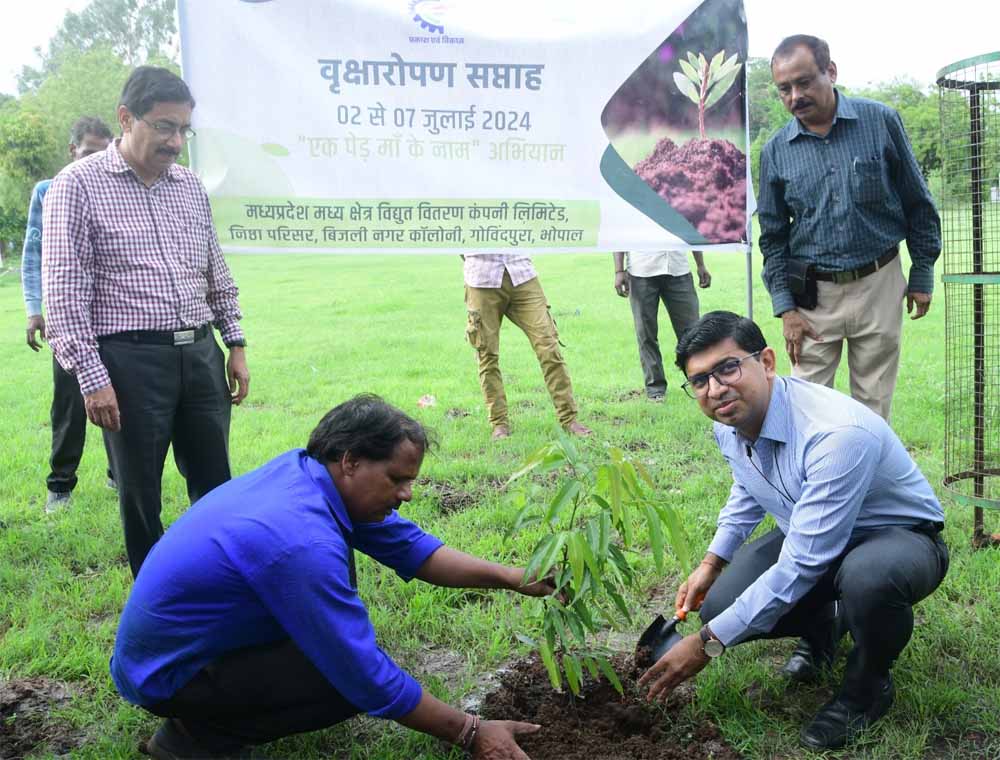 मध्य क्षेत्र विद्युत वितरण कंपनी सहित सब-स्टेशनों और रहवासी कालोनियों में रोपे गए पौधे मध्य क्षेत्र विद्युत वितरण कंपनी सहित सब-स्टेशनों और रहवासी कालोनियों में रोपे गए पौधे