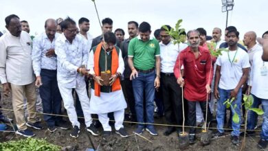 जनता व जनप्रतिनिधियों ने 12 घंटे में 11 लाख पौधे रोपने का संकल्प लिया था, जिसे साढ़े नौ घंटे में ही पूरा किया