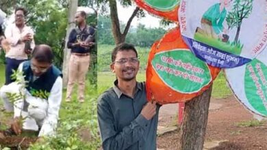 छत्तीसगढ़-बालोद में पेड़ों को राखी बांधी, पर्यावरण प्रेमी ने रक्षाबंधन पर प्रकृति बचाने का दिया संदेश