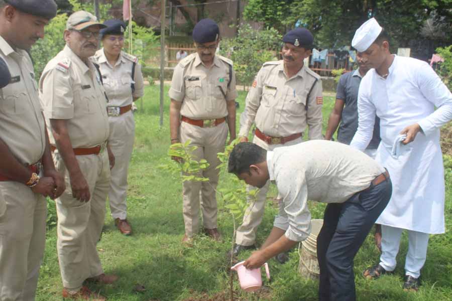 एक पेड़ मां के नाम अभियान: केन्द्रीय जेल में वृहद पौधरोपण एक पेड़ मां के नाम अभियान: केन्द्रीय जेल में वृहद पौधरोपण