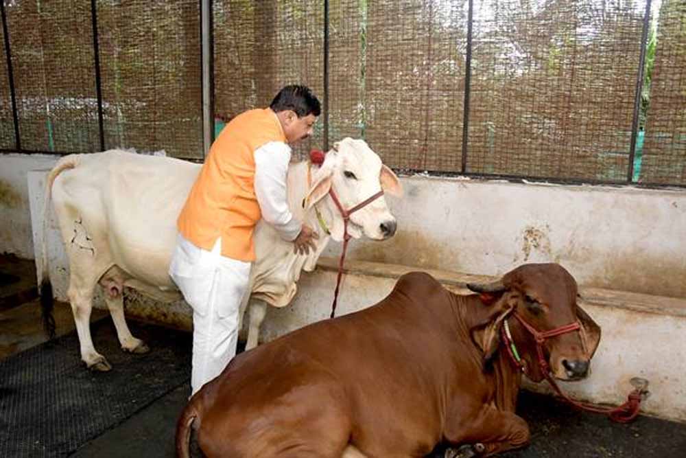 मंगल तिथियों पर आधारित जन्माष्टमी सभी के जीवन में मंगल ही मंगल करे: मुख्यमंत्री डॉ. यादव