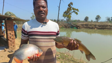 मछली पालन से समृद्ध हो रहे किसान, जनकराम को साल में 7 लाख रुपए का हुआ मुनाफा