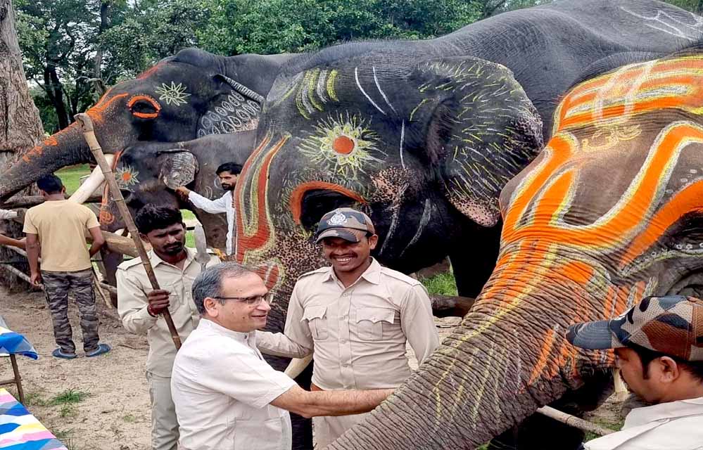 बांधवगढ टाईगर रिजर्व में हाथी महोत्सव का हुआ आगाज,  सात दिवस तक हाथियों की चलेगी पिकनिक