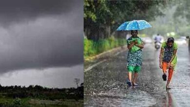 छत्तीसगढ़ में पांच दिन होगी भारी बारिश, रायपुर-दुर्ग सहित चार संभागों में मौसम का अलर्ट