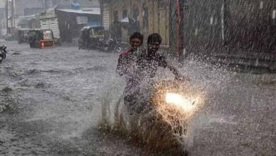 डिंडौरी-बालाघाट में आज मूसलाधार बारिश का अलर्ट; कई जिलों में गर्मी रहेगी