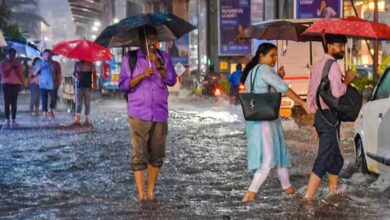 रायपुर : छत्तीसगढ़ में अब तक 1121.3 मि.मी. औसत वर्षा दर्ज