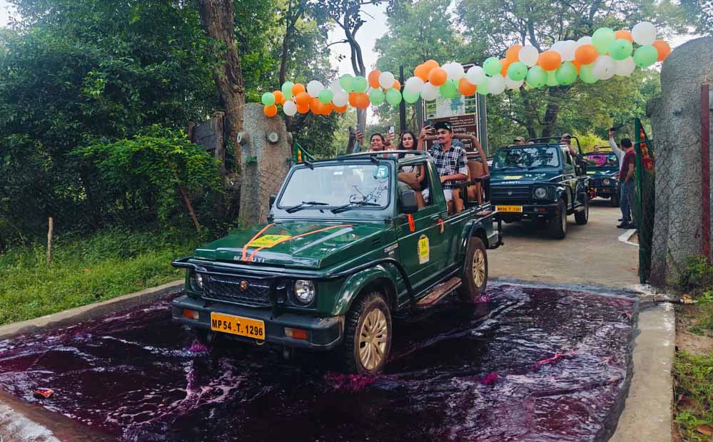 बांधवगढ़ टाइगर रिजर्व के ताला,मगधी और खितौली जोन में पर्यटन शुरू