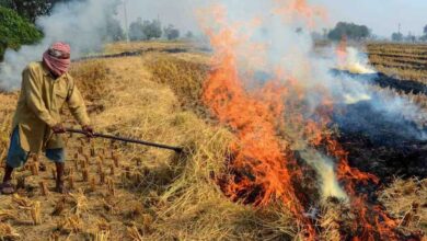 हरियाणा में पराली जलाने पर 14 किसान अरेस्ट, कई जिलों में ऐक्शन; ताबड़तोड़ मुकदमे