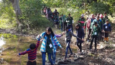 प्रदेश में मोगली बाल उत्सव की जिला स्तरीय प्रतियोगिताएं शुरू