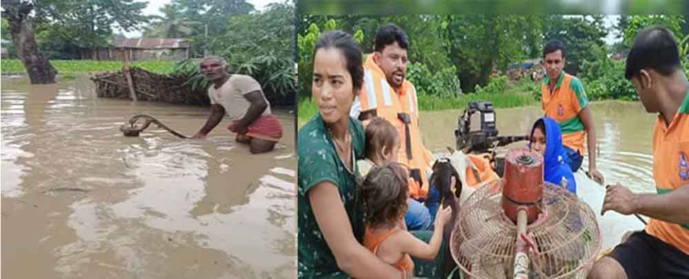 बिहार-मुजफ्फरपुर में बागमती-बूढ़ी गंडक में बाढ़, गर्भवती महिला को SDRF ने सुरक्षित निकाला