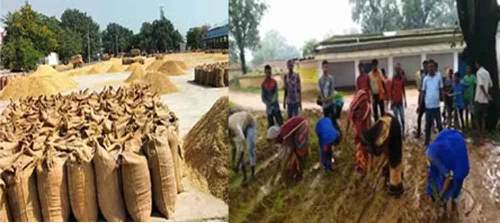 छत्तीसगढ़-सूरजपुर के गांव की सड़क पर उगती है धान, कई वर्षों से मंडी में हितग्राही बेच रहा अनाज