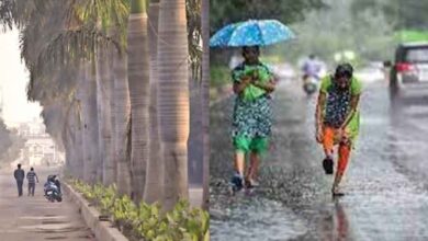 छत्तीसगढ़ से दक्षिण-पश्चिम मानसून की विदाई, उत्तरी और दक्षिण इलाकों में 4-5 दिनों हल्की बारिश