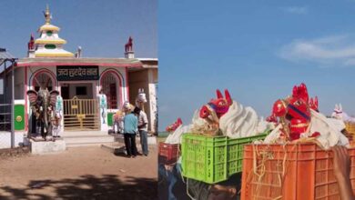 छत्तीसगढ़-बालोद में बाबा हरदेव का अनोखा मंदिर, मुराद पूरी होने पर चढ़ाते हैं मिट्टी और सीमेंट के घोड़े