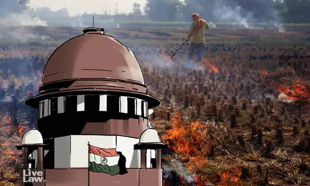 पराली जलाने पर SC सख्त, पराली जलाने पर CQM से मांगा जवाब पराली जलाने पर SC सख्त, पराली जलाने पर CQM से मांगा जवाब