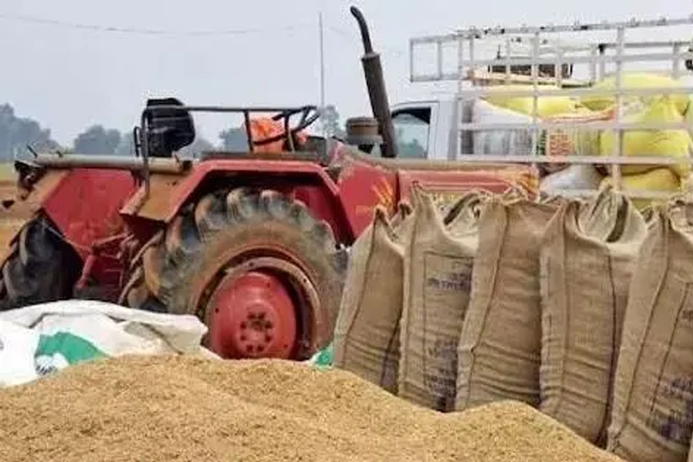 छत्तीसगढ़ में किसानों के चेहरे पर चमक, मात्र 6 दिनों में प्रदेश के किसानों ने 500 करोड़ रुपये से ज़्यादा की रकम की अर्जित छत्तीसगढ़ में किसानों के चेहरे पर चमक, मात्र 6 दिनों में प्रदेश के किसानों ने 500 करोड़ रुपये से ज़्यादा की रकम की अर्जित