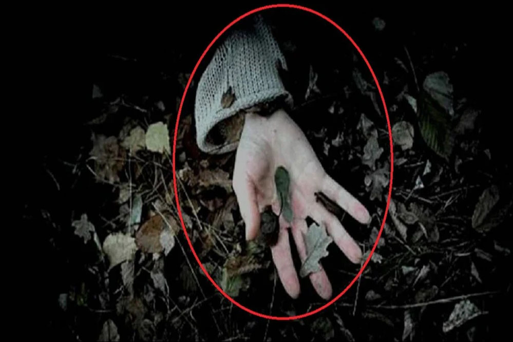 झारखंड में श्रद्धा हत्याकांड जैसा मामला, लिव-इन में रही गर्लफ्रेंड के 50 टुकड़े कर जंगल में फेंका झारखंड में श्रद्धा हत्याकांड जैसा मामला, लिव-इन में रही गर्लफ्रेंड के 50 टुकड़े कर जंगल में फेंका