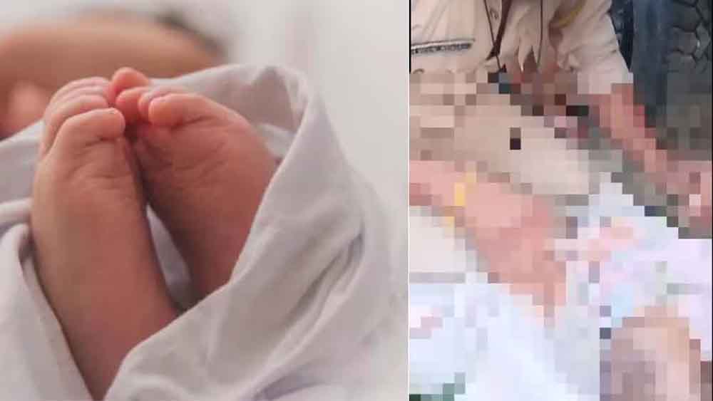 छत्तीसगढ़-कोंडागांव में एक महीने के बच्चे को मां ने सड़क पर फेंका, तलाश में जुटी पुलिस छत्तीसगढ़-कोंडागांव में एक महीने के बच्चे को मां ने सड़क पर फेंका, तलाश में जुटी पुलिस
