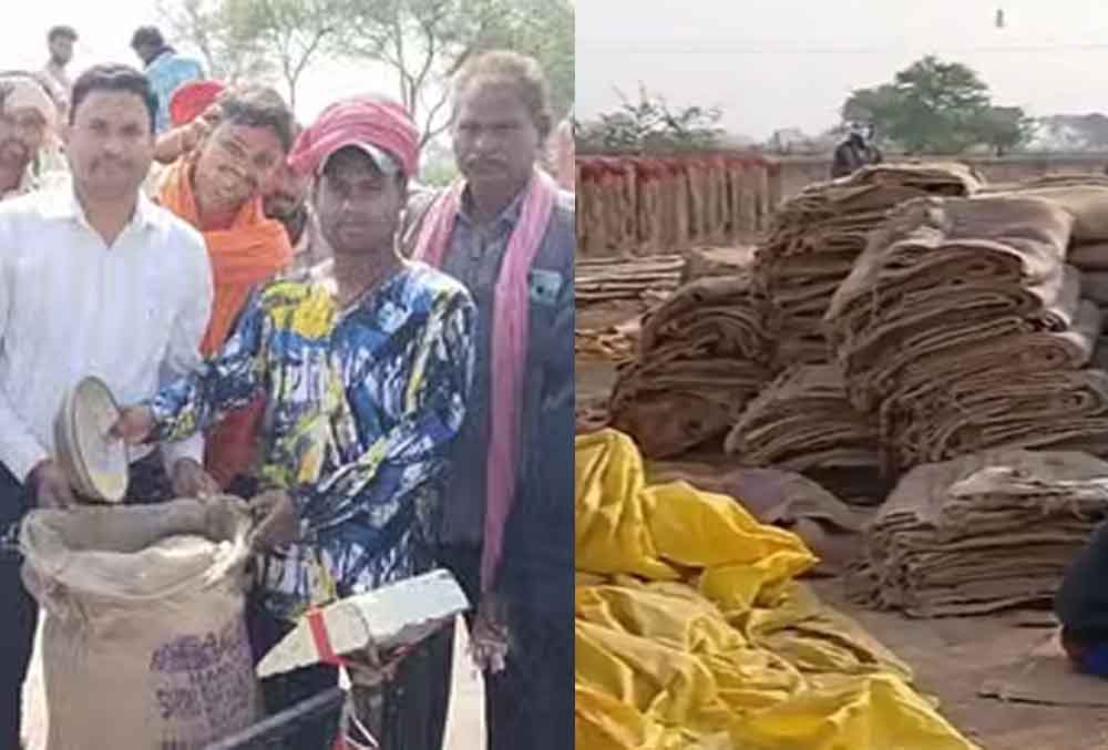 छत्तीसगढ़-कबीरधाम के अधिकांश खरीदी केंद्रों में बारदाना की कमी, अब किसानों से धान के साथ बारदाना भी खरीदेगी सरकार छत्तीसगढ़-कबीरधाम के अधिकांश खरीदी केंद्रों में बारदाना की कमी, अब किसानों से धान के साथ बारदाना भी खरीदेगी सरकार