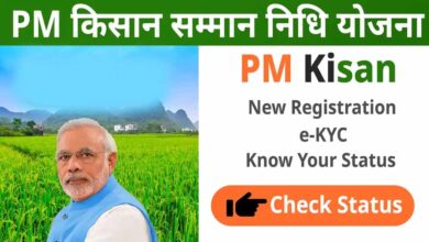 मोदी सरकार कब जारी कर सकती है PM Kisan Yojana की 19वीं किस्त? यहां जानें किसान