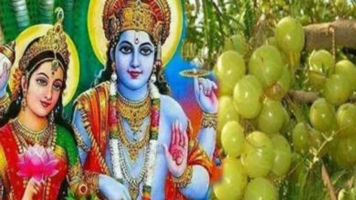 अक्षय नवमी : भगवान विष्णु की पूजा के साथ आंवले के पेड़ की जाती है पूजा