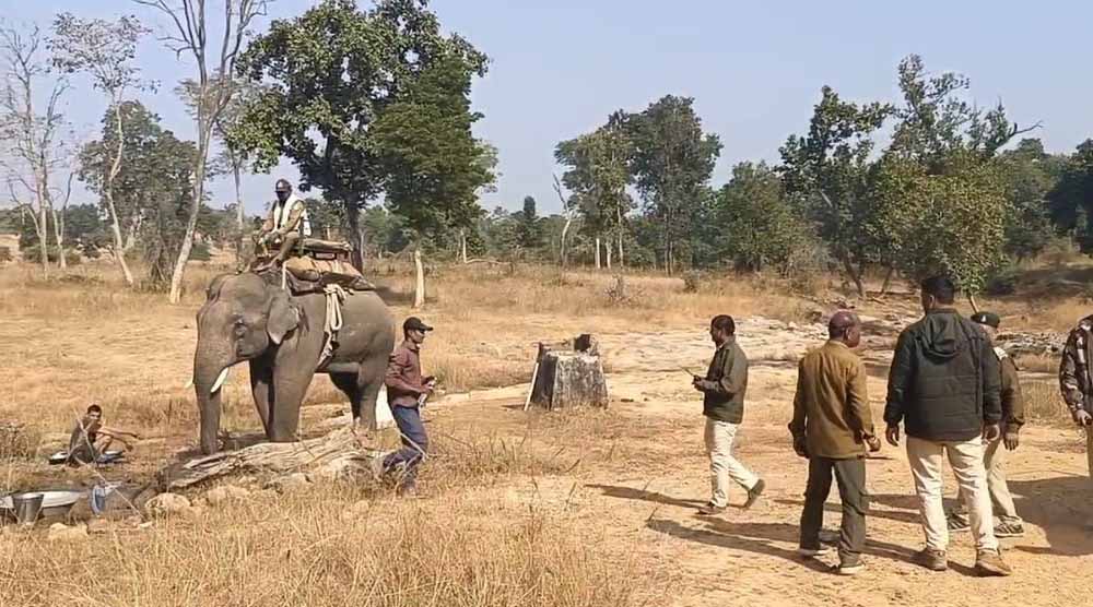 बाघ के रेस्क्यू में जुटी टाइगर रिजर्व की टीम, 4 हाथी दल और 3 परिक्षेत्र की टीम निगरानी में जुटी बाघ के रेस्क्यू में जुटी टाइगर रिजर्व की टीम, 4 हाथी दल और 3 परिक्षेत्र की टीम निगरानी में जुटी