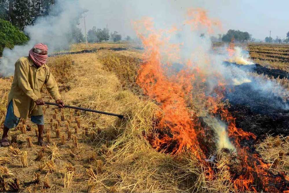 मध्य प्रदेश बार एसोसिएशन ने पराली जलाने के आरोप में पकड़े गए किसानों का केस नहीं लड़ने का फैसला लिया