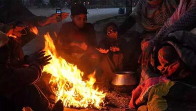 पहाड़ों पर बर्फबारी से मध्य प्रदेश में बढ़ी ठंड, तापमान में गिरावट, ग्वालियर-चंबल में छाया कोहरा