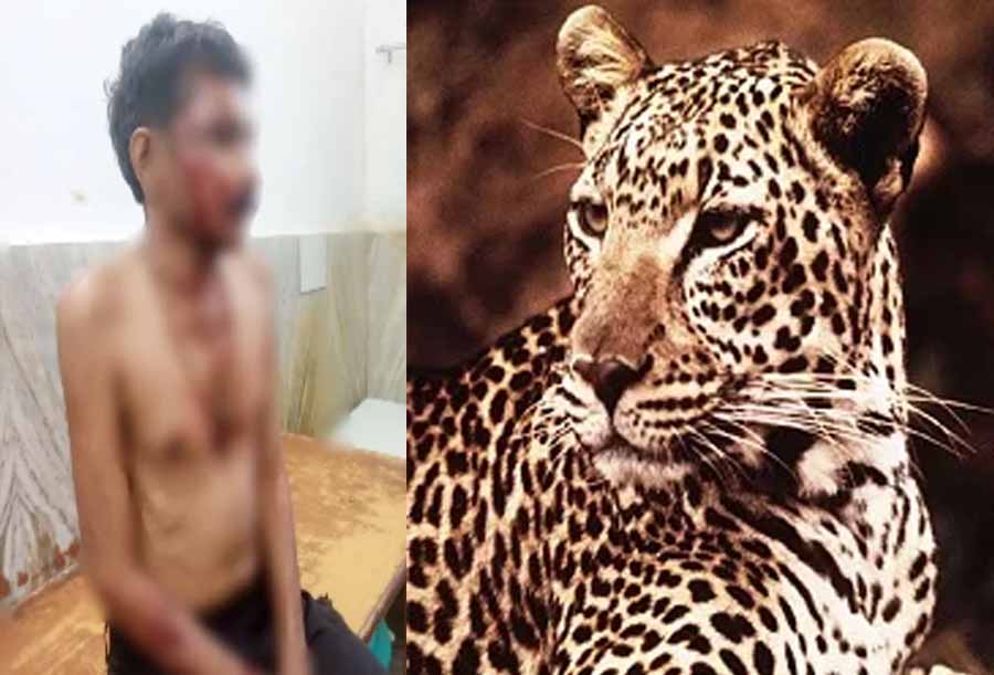गरियाबंद में आदमखोर तेंदुए ने युवक पर किया हमला, गांव में दहशत का माहौल गरियाबंद में आदमखोर तेंदुए ने युवक पर किया हमला, गांव में दहशत का माहौल