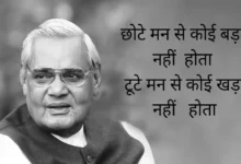 मुख्यमंत्री विष्णुदेव साय ने पूर्व प्रधानमंत्री भारत रत्न  अटल बिहारी वाजपेयी के जन्मदिन पर उन्हें किया नमन