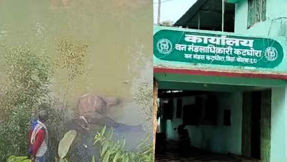 छत्तीसगढ़-कोरबा के जंगली तालाब में मिली हाथी की लाश, करंट लगने से मौत की आशंका छत्तीसगढ़-कोरबा के जंगली तालाब में मिली हाथी की लाश, करंट लगने से मौत की आशंका