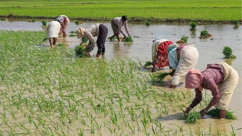राज्यसभा में उठा किसानों का मुद्दा, एमएसपी का वादा पूरे करने की मांग