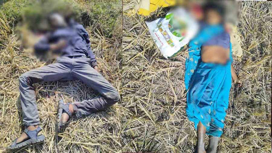 जमीन विवाद को लेकर पत्रकार के मां, पिता और भाई की हत्या जमीन विवाद को लेकर पत्रकार के मां, पिता और भाई की हत्या