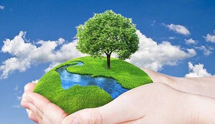 प्रकृति प्रेम है तो वन सेवा में जाइए प्रकृति प्रेम है तो वन सेवा में जाइए