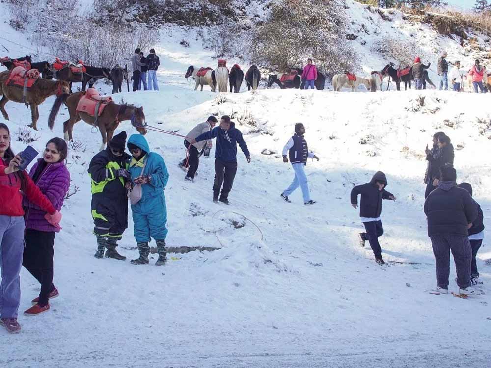 हिमाचल में बादलों का डेरा, कोहरे की गिरफ्त में मैदानी इलाके