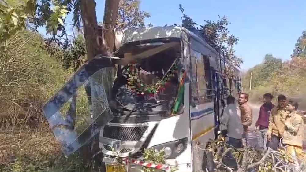 पेड़ से टकराई तेज रफ्तार बस, इस हादसे में केबिन में बैठे यात्री गिरे, एक दर्जन से ज्यादा घायल, 3 की हालत गंभीर पेड़ से टकराई तेज रफ्तार बस, इस हादसे में केबिन में बैठे यात्री गिरे, एक दर्जन से ज्यादा घायल, 3 की हालत गंभीर