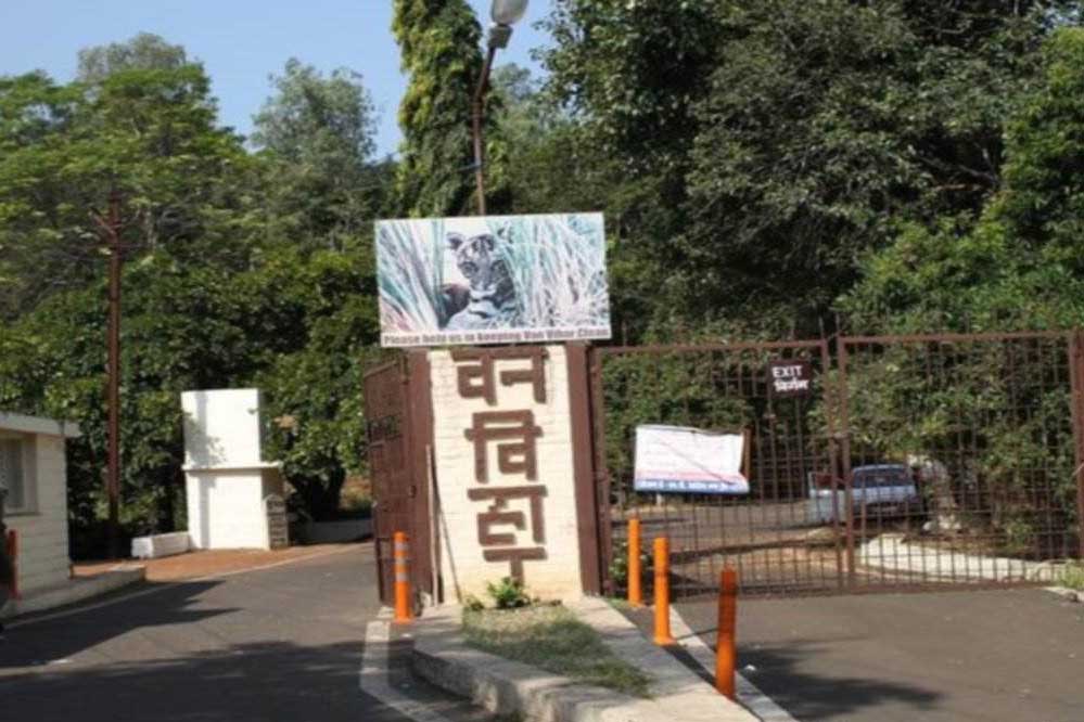 वन विहार का प्रवेश द्वार क्रमांक-एक 17 से 20 फरवरी तक बंद रहेगा