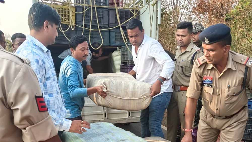 सब्जी कैरेट के नीचे छुपाकर ले जा रहे 243 किलो गांजा जप्त सब्जी कैरेट के नीचे छुपाकर ले जा रहे 243 किलो गांजा जप्त