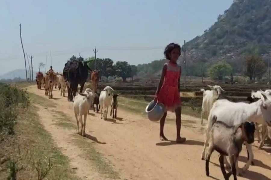 झारखंड के एक गांव में न तो होलिका दहन होता है न ही होली मनायी जाती झारखंड के एक गांव में न तो होलिका दहन होता है न ही होली मनायी जाती