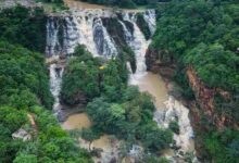 कांगेर घाटी राष्ट्रीय उद्यान के विश्व धरोहर सूची में शामिल होने से बस्तर को मिलेगी अंतर्राष्ट्रीय पहचान- मुख्यमंत्री विष्णुदेव साय