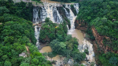 बस्तर का कांगेर घाटी राष्ट्रीय उद्यान यूनेस्को की विश्व धरोहर की अस्थायी सूची में हुआ शामिल