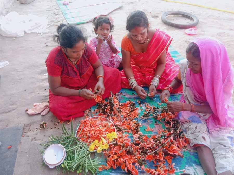 नक्सलियों ने जिन महिलाओं के जीवन को किया बेरंग, वही महिलाएं हर्बल गुलाल बनाकर लोगेां के जीवन में ला रही खुशहाली