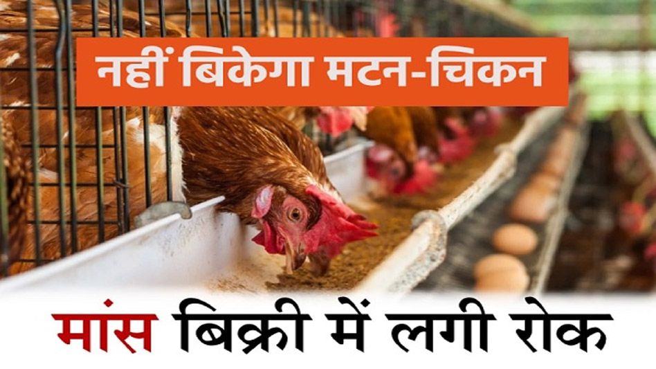 नवरात्रि में मैहर, भोपाल और इंदौर में भी नहीं बिकेगा मांस, दुकानों का लाइसेंस रद करने का आदेश नवरात्रि में मैहर, भोपाल और इंदौर में भी नहीं बिकेगा मांस, दुकानों का लाइसेंस रद करने का आदेश