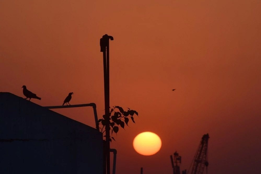 पहाड़ों से आई बर्फीली हवाओं से चार दिन तक पूरा मध्यप्रदेश ठिठुरा रहा, अब 2-3 डिग्री बढ़ेगा पारा