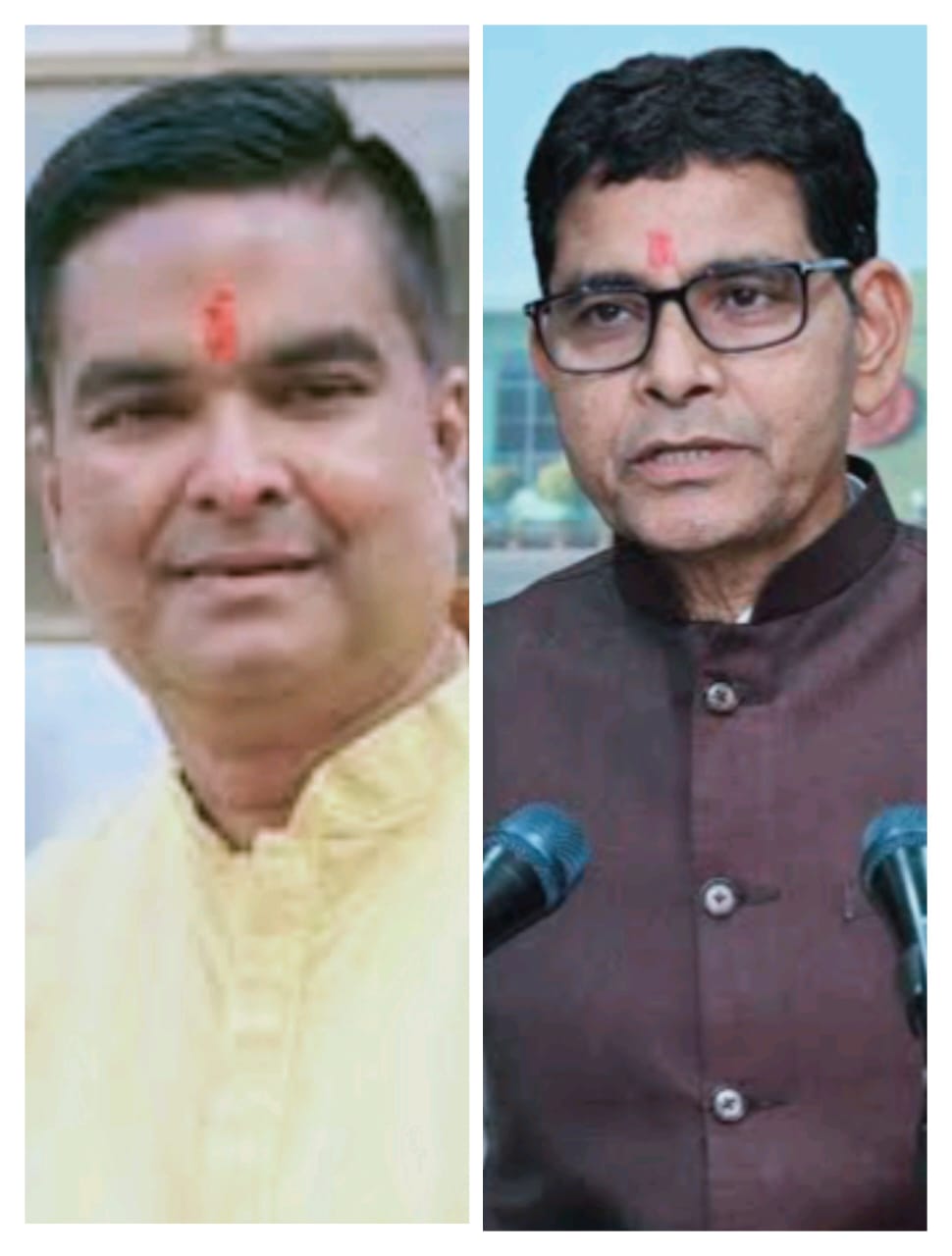 “अंबेडकर और शंकराचार्य उद्यान से 46 पेड़ कटे हैं, कार्रवाई प्रक्रियाधीन है”,रिकेश सेन के सवाल पर मंत्री टंकराम वर्मा ने दी यह जानकारी