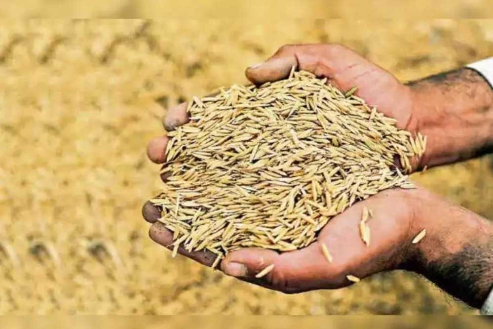 इटारसी मंडी में धान की बढ़ती आवक को देख प्रशासन ने 21 से 29 मार्च तक मंडी सातों दिन खोलने का फैसला लिया इटारसी मंडी में धान की बढ़ती आवक को देख प्रशासन ने 21 से 29 मार्च तक मंडी सातों दिन खोलने का फैसला लिया