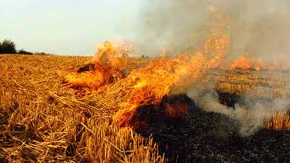 मोहन सरकार की नई स्कीम, एक एकड़ खेत वाले किसान को मिलेंगे 3 हजार रुपए मोहन सरकार की नई स्कीम, एक एकड़ खेत वाले किसान को मिलेंगे 3 हजार रुपए