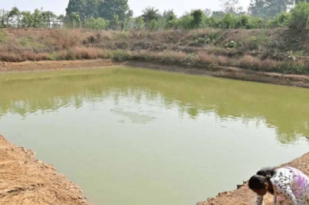 मध्य प्रदेश में बनाए जाएंगे 50000 तालाब, सरकार ने की बड़ी घोषणा